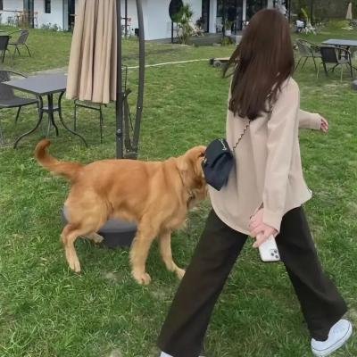 陌生人的慰藉